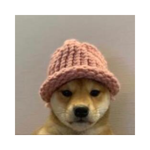 dogwifhat